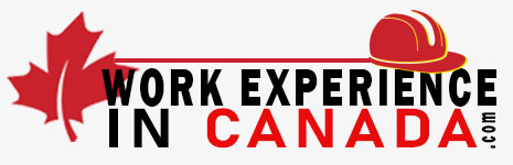 work experience in canada daniel dargis